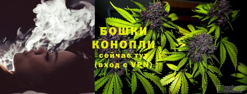 Бошки марихуана SATIVA & INDICA  наркошоп  Руза 